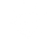 snatch-diamond